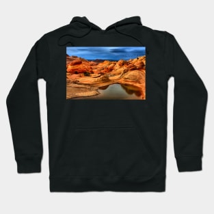 Water In The Desert Wilderness Hoodie